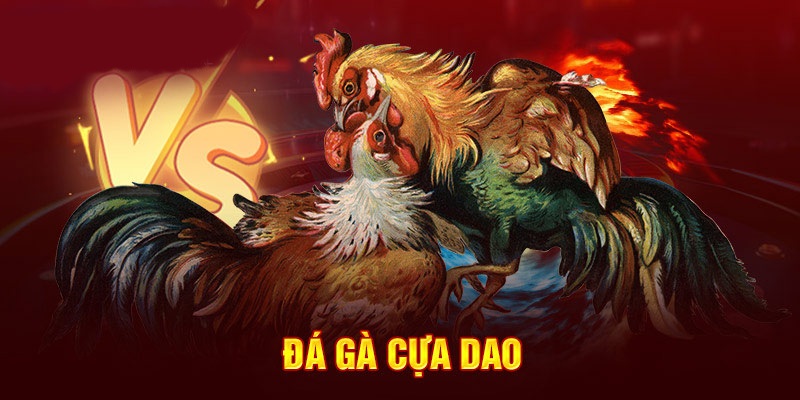 Hướng dẫn tham gia giải trí đá gà