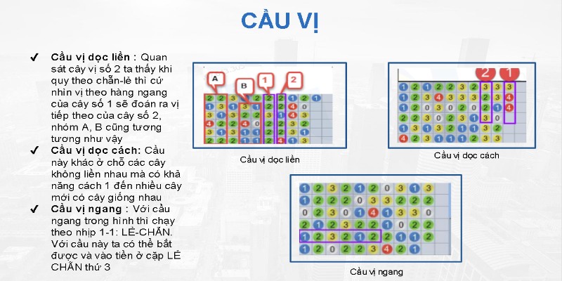 Bỏ túi cẩm nang những lưu ý quan trọng