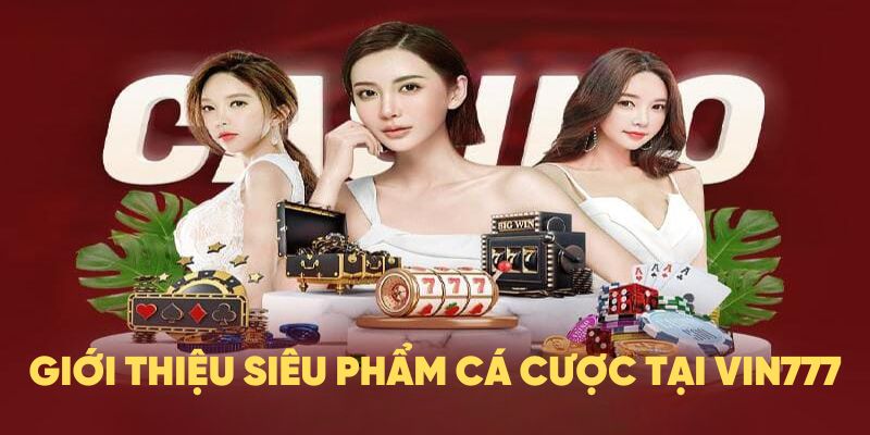 Giới thiệu VIN777 cung cấp nhiều siêu phẩm cá cược đỉnh cao